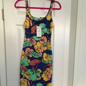 Zara blue floral body con midi tank dress